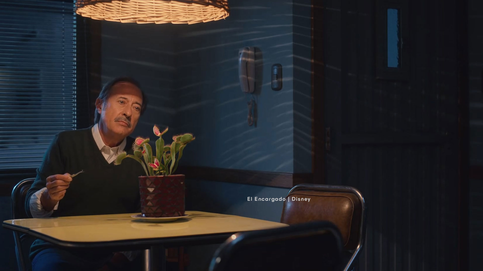 Section background image